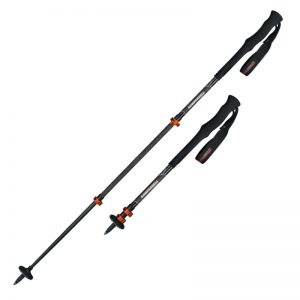 elemental trekking pole