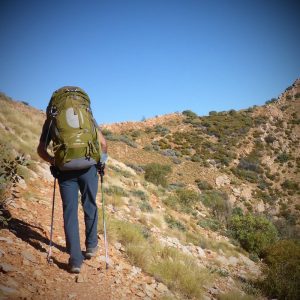 Lone Dingo Membership