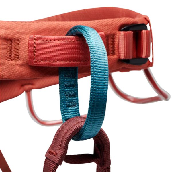 Black Diamond Women's Momentum Harness 2024 - Image 4