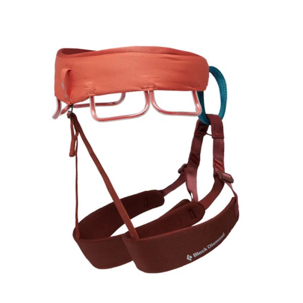 Black Diamond Women's Momentum Harness 2024 - Image 2