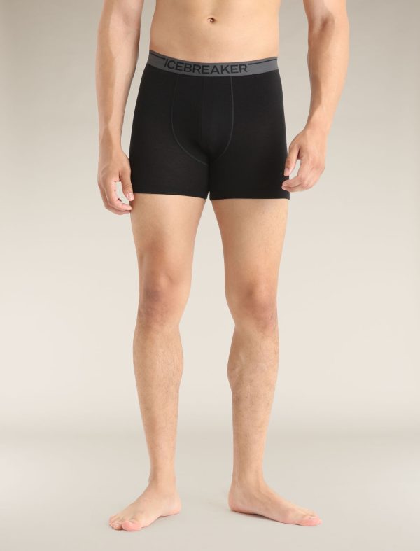 Icebreaker Men's Merino 150 Anatomica Boxers - Image 4